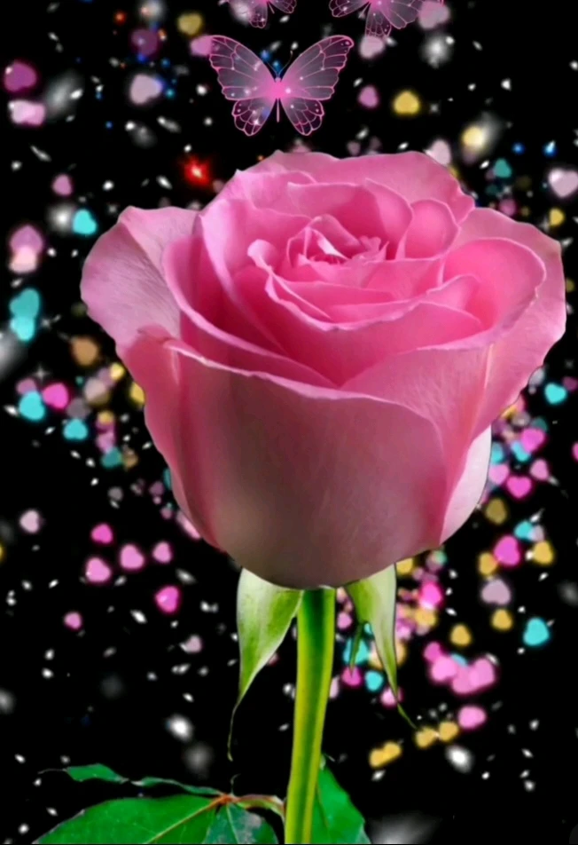 Image uploaded by ♥️ Silly_girl 😘