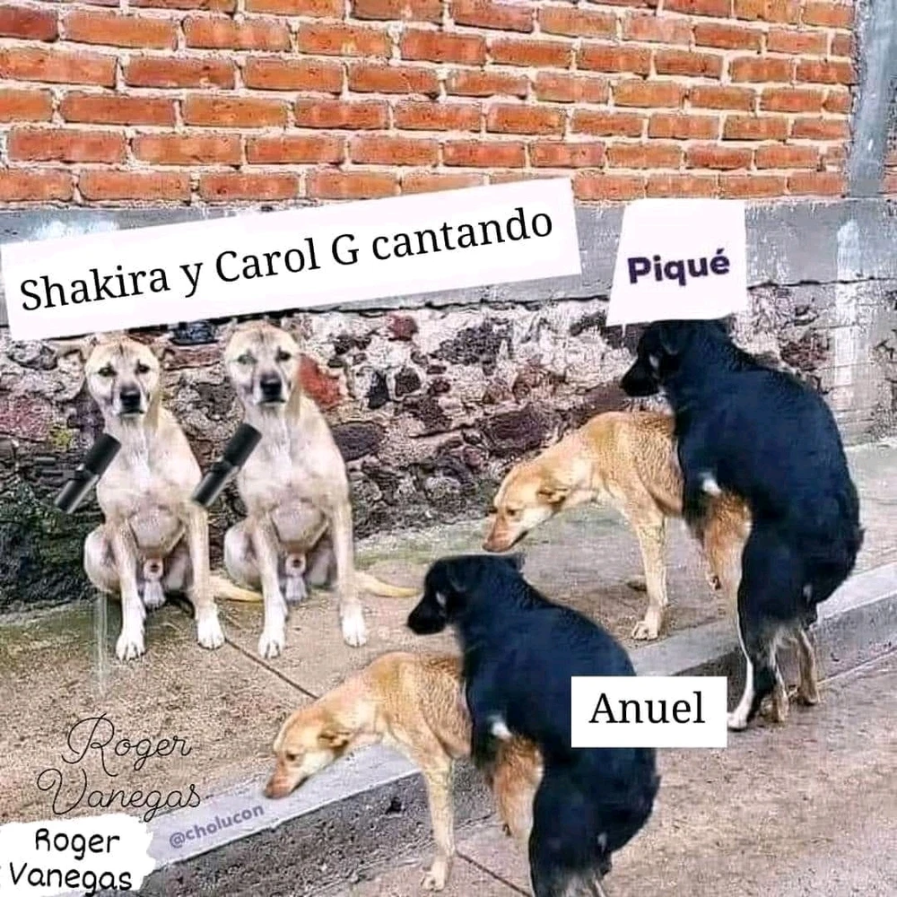 Imagen subida por Rodrigo