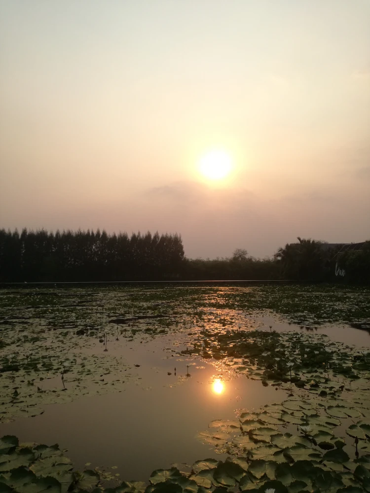 Image uploaded by Mina