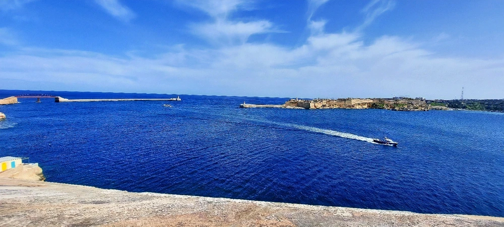 Image uploaded by Thomas