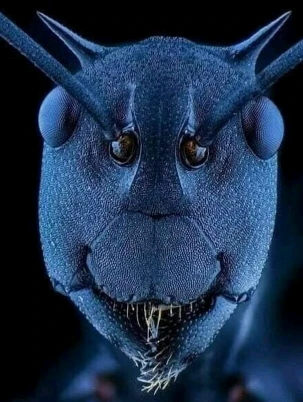 Image ajoutée par Rahafe