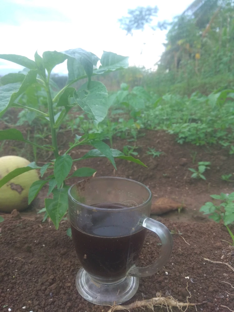 Gambar diunggah oleh .