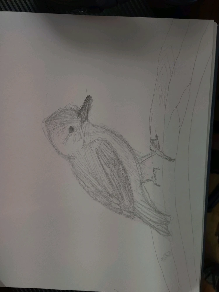 Image uploaded by Faisal Sarker