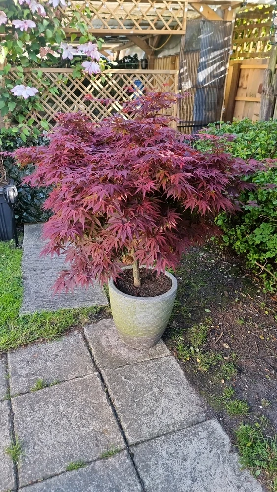 Image uploaded by Chris