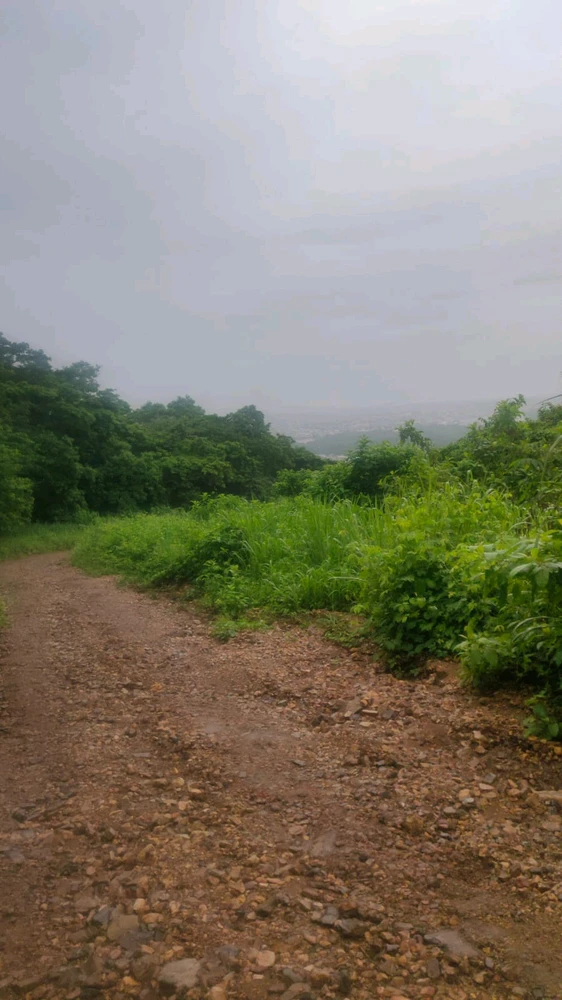 Image uploaded by Luny7