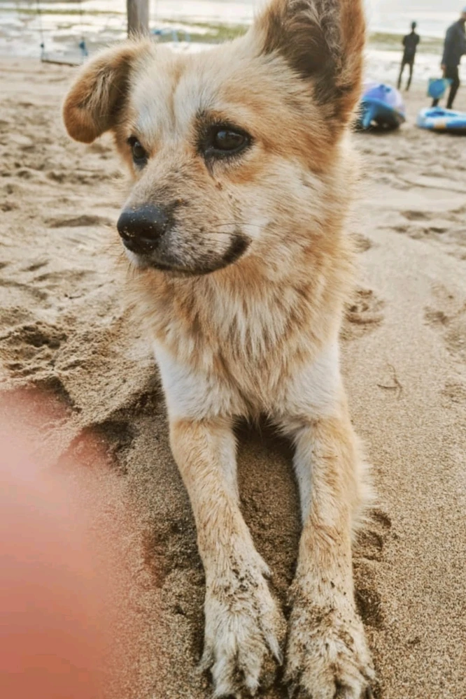 Image uploaded by ꨄ𝐃ꨄ