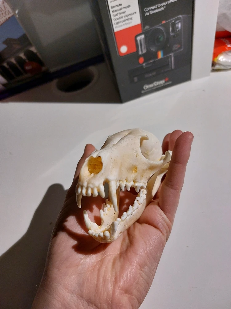 Immagine caricata da Davide