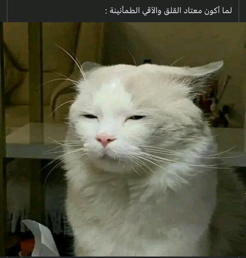 صورة رفعها sara