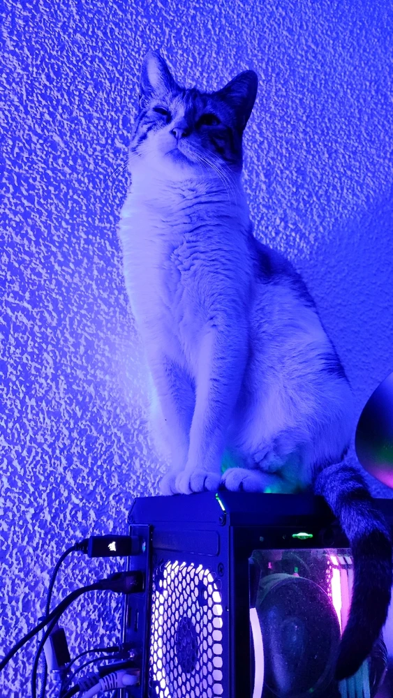 Imagen subida por Marcos