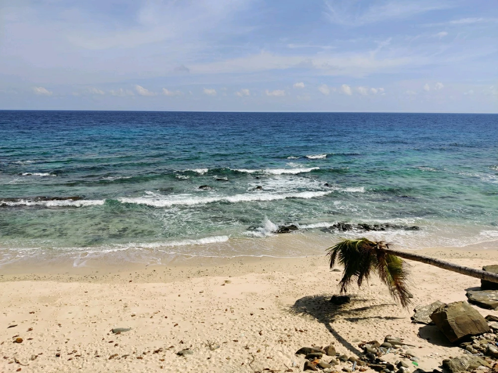 Image uploaded by Harsha