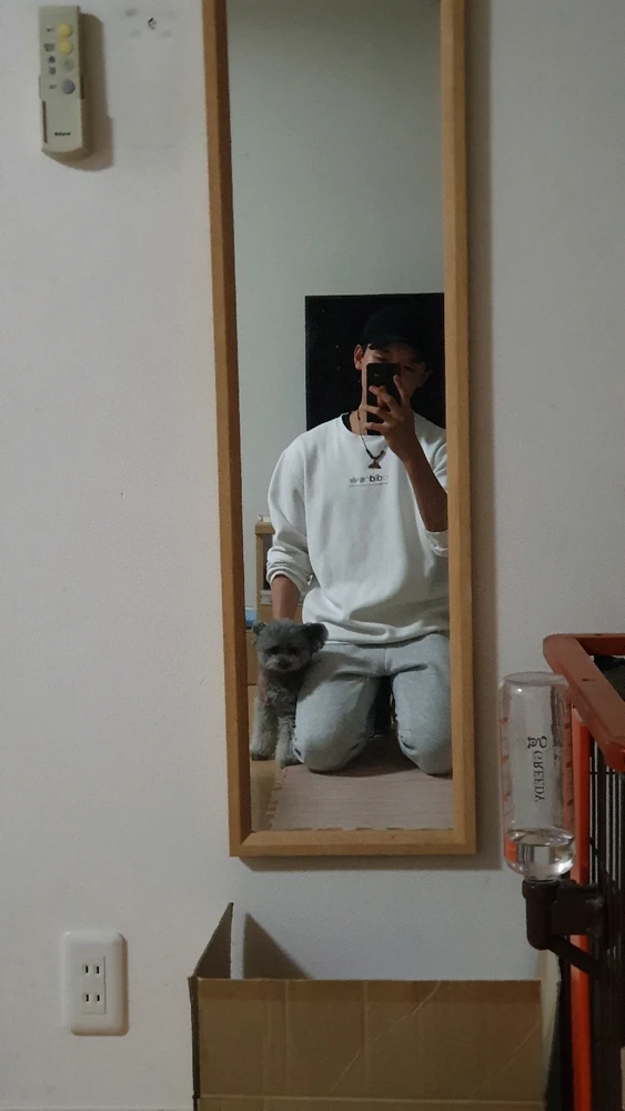 Renがアップロードした画像