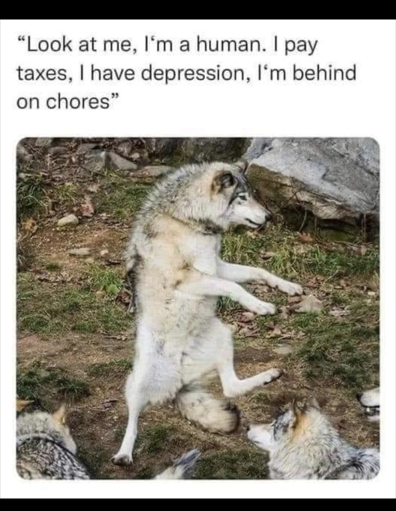 由Raven上传的图片