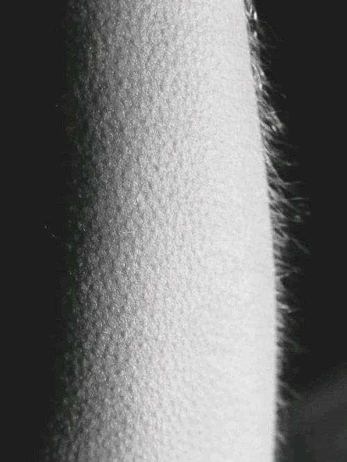 Imagen subida por Maes