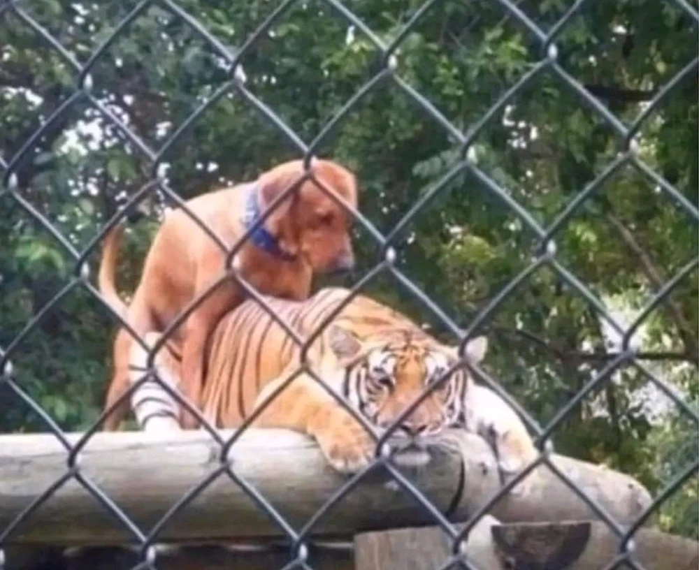 Bild hochgeladen von Harry