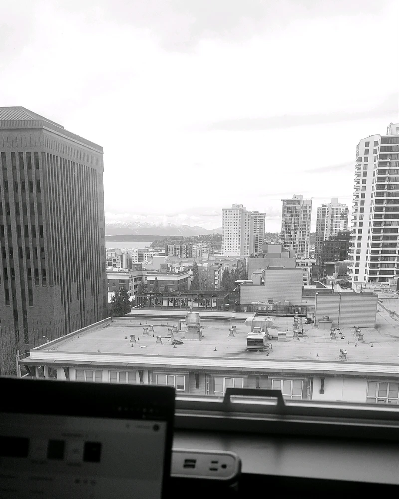 Image uploaded by Rook