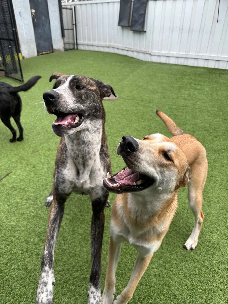 Image uploaded by Jacob-Ray