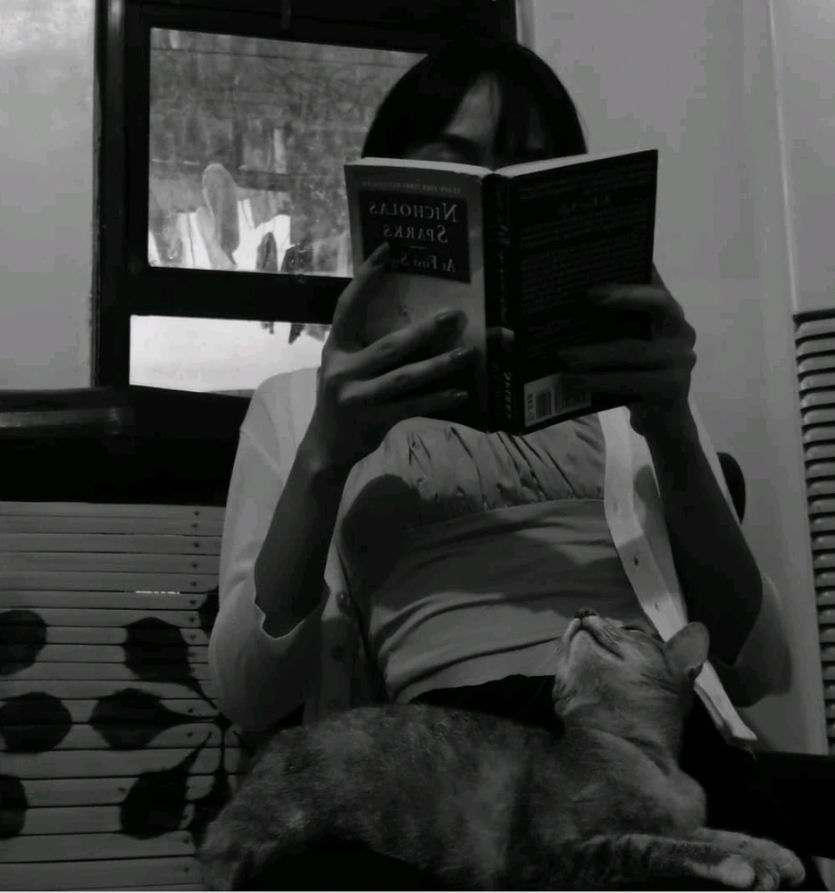 Image uploaded by Shai