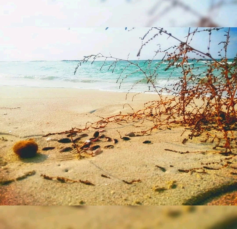 صورة رفعها Aly