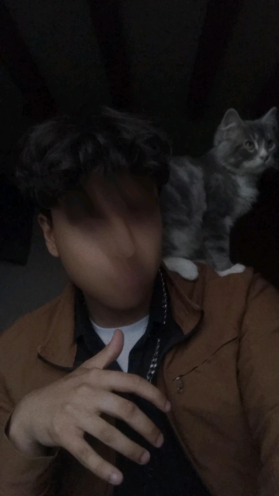 Imagen subida por Jose