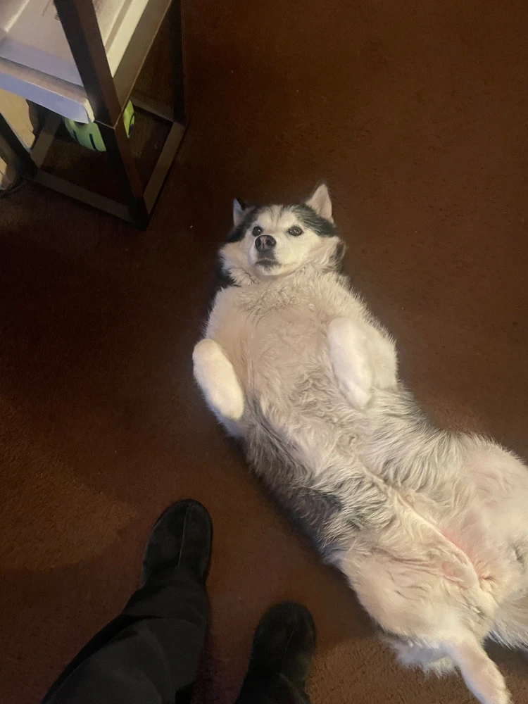 Goofy girl!