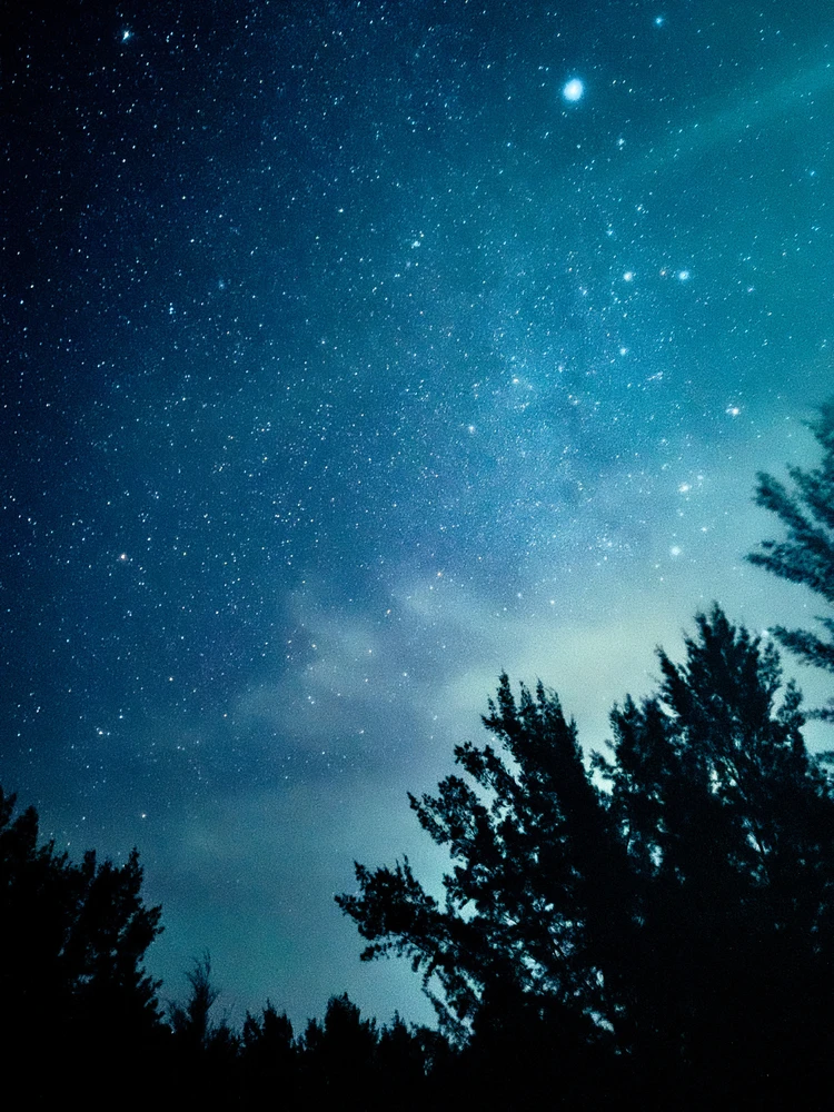 Stargazing photo