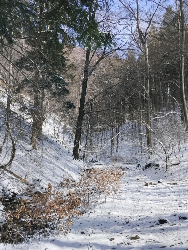 Зображення завантажив Дар'я
