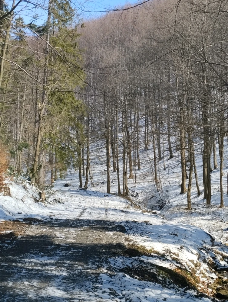 Зображення завантажив Дар'я