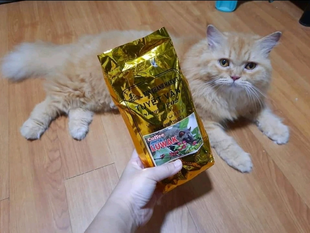 Image uploaded by Bianca