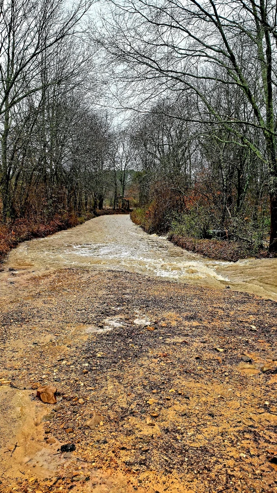 A red southern rocky road...amber and copper colored trees...Cypress pine trees .the road is gone..the river has breached 