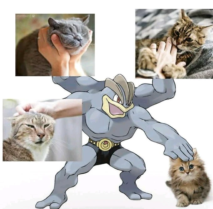 Image uploaded by Bran