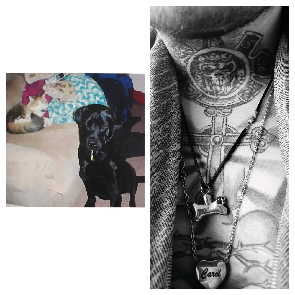 Who's your most favorite pets