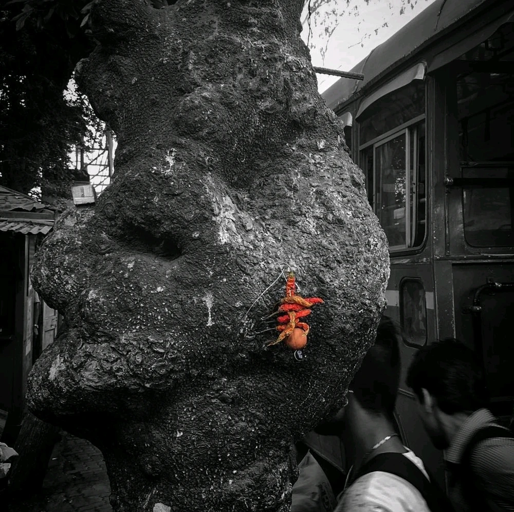ॐकार上傳的圖片