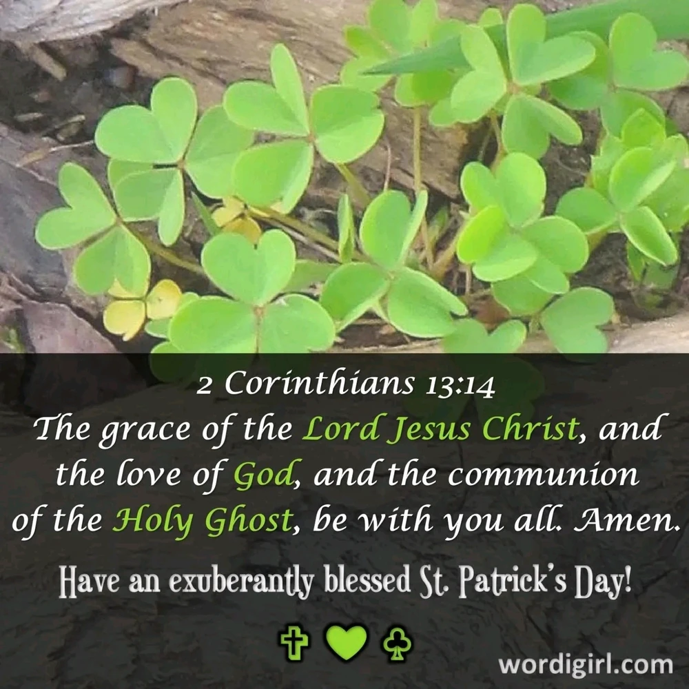 Gambar diunggah dening Ossandra