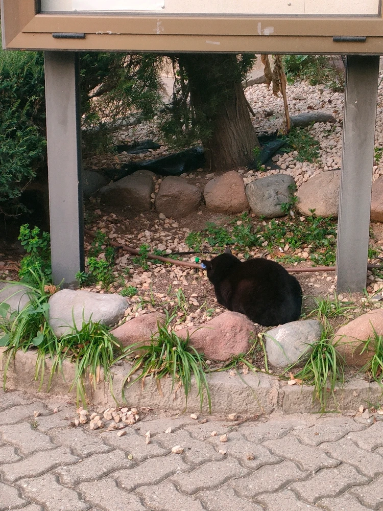 Imatge pujada per Alexandra