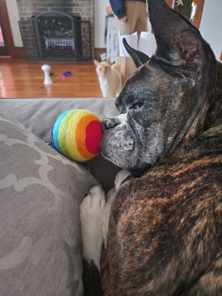 Image uploaded by Tyler-Grae