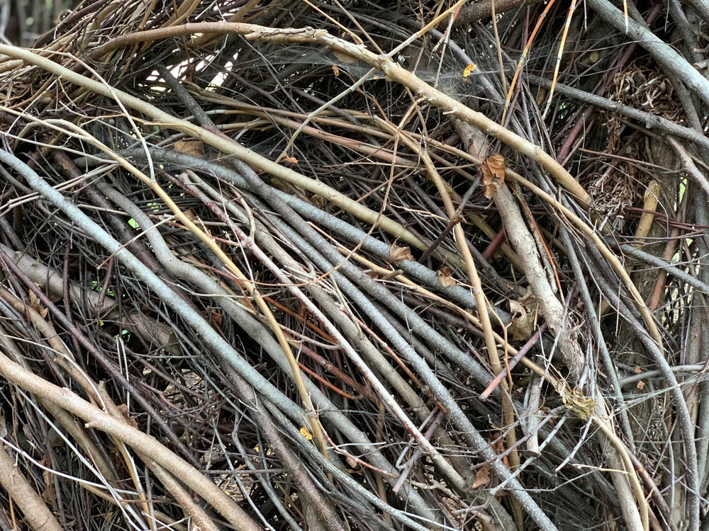 Image uploaded by ehmé