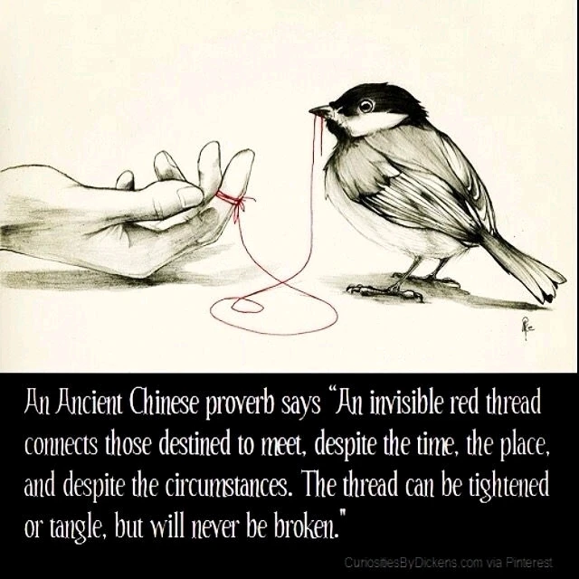 Фото загрузил Roxanne