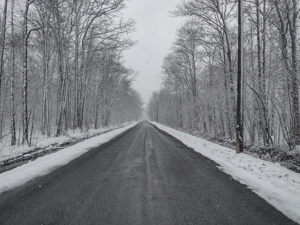 Image uploaded by Leanne 🇨🇦