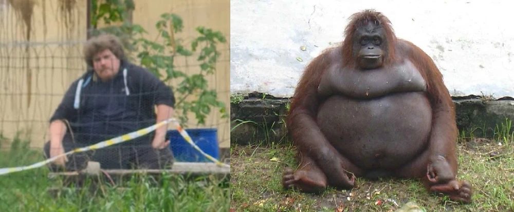 Image uploaded by Beck