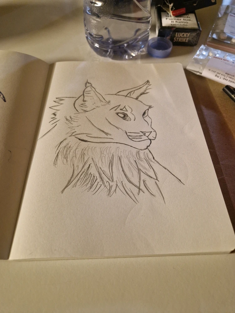 Image ajoutée par Rachel