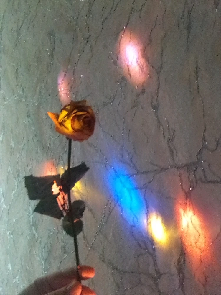 Image uploaded by Милана