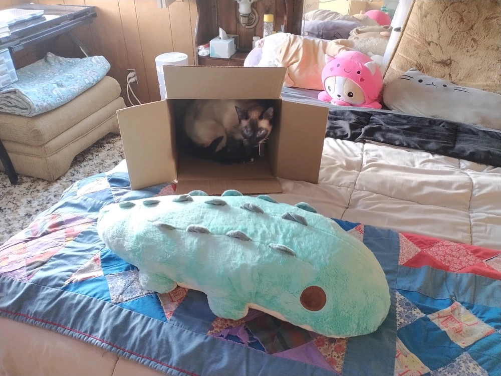 Image uploaded by Michaelia