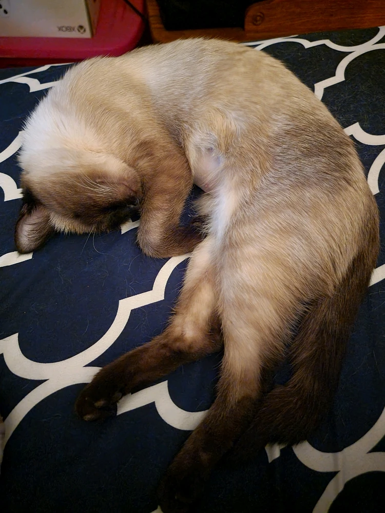 Image uploaded by Justin