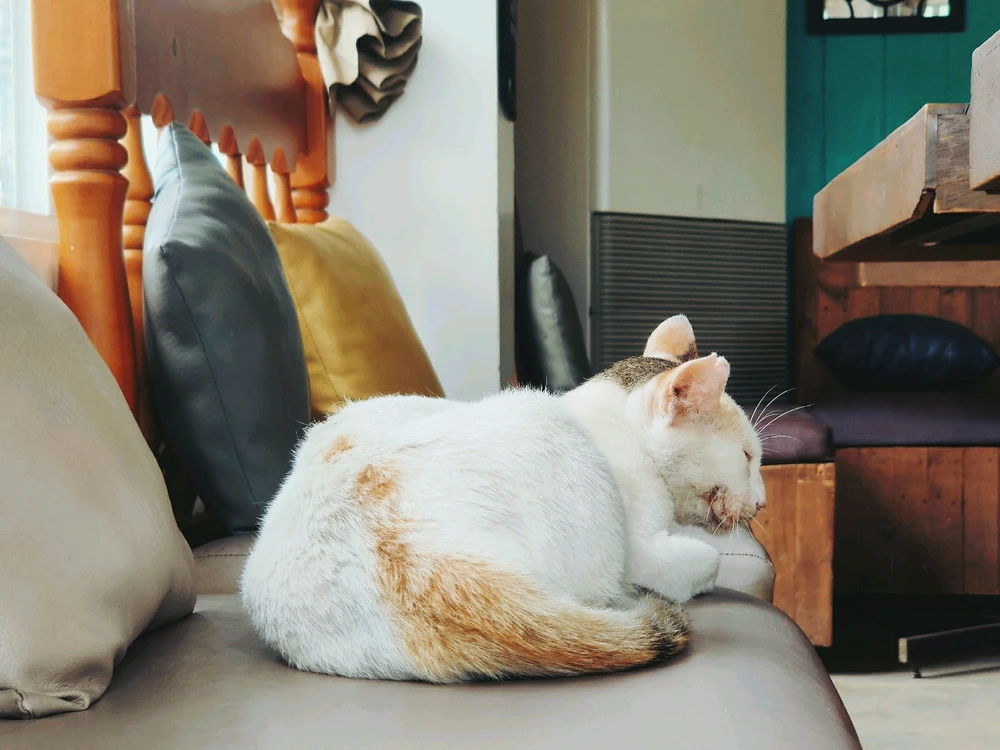 Image uploaded by Pam