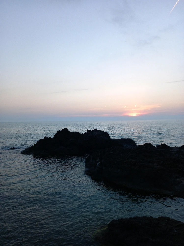 Image uploaded by Barış