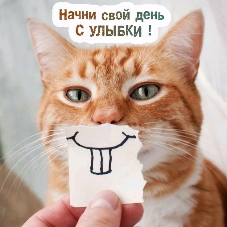 Мария আপলোড করেছে
