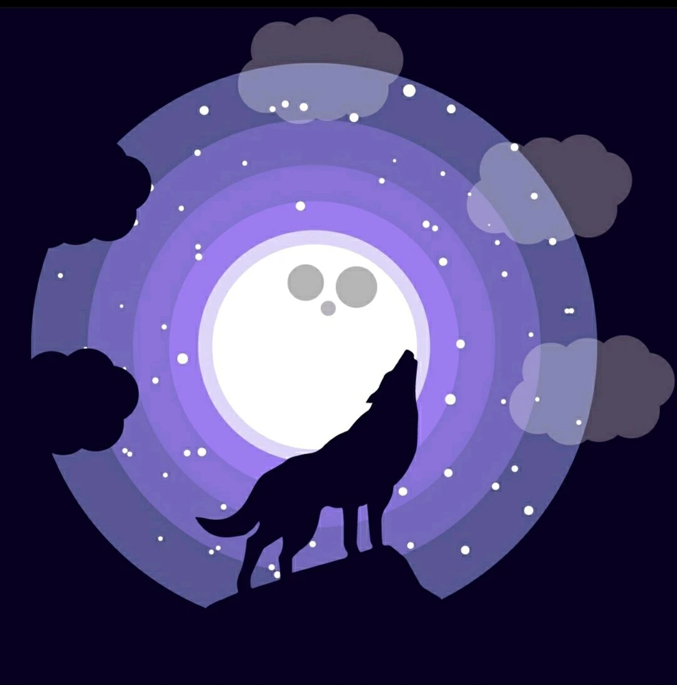 Imagem enviada por Gustavo