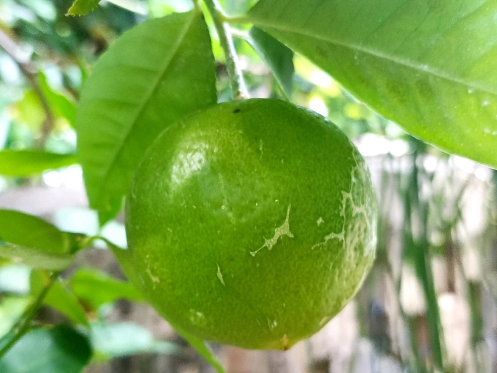 Image uploaded by Kate