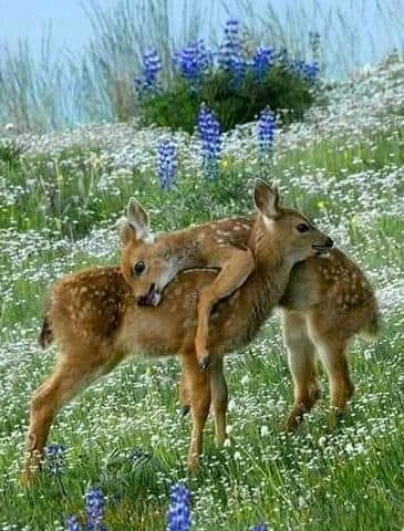 Image ajoutée par Rahafe