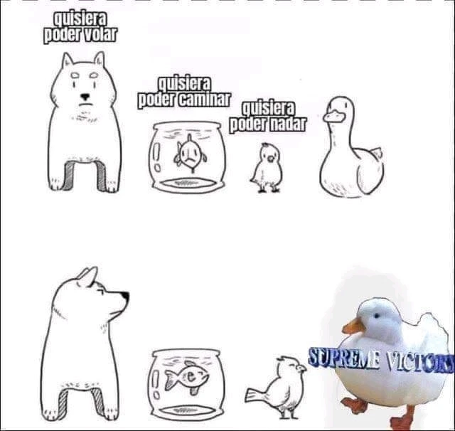 Imagen subida por Jon